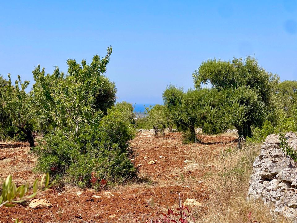 Helårsgrund i Carovigno, Brindisi - foto 5