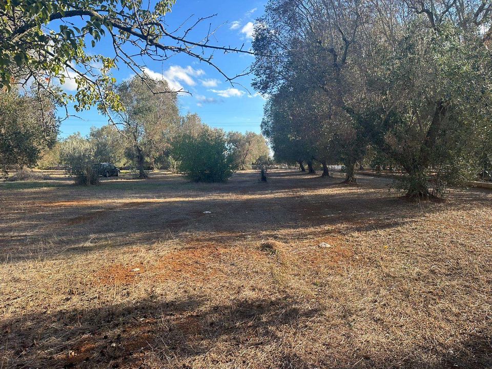 Farm hus i San Vito dei Normanni, Brindisi - foto 1