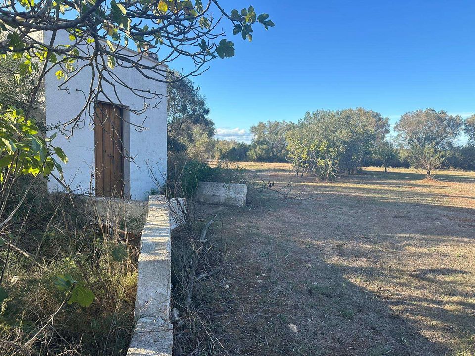 Farm hus i San Vito dei Normanni, Brindisi - foto 3