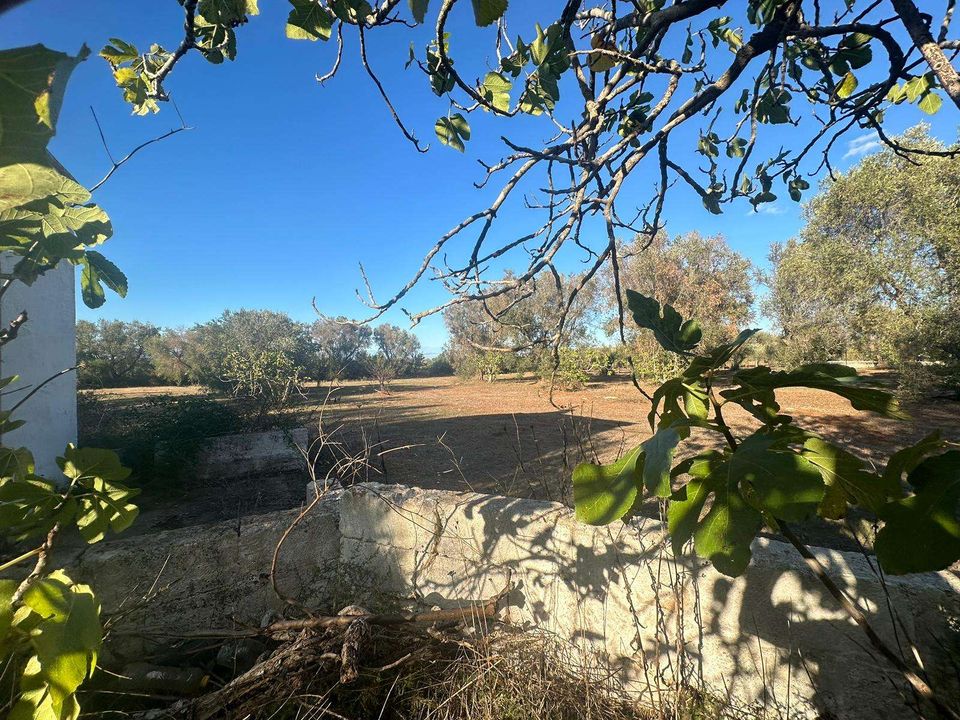 Farm hus i San Vito dei Normanni, Brindisi - foto 5