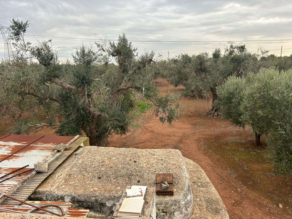 Villa i Latiano, Brindisi - foto 3