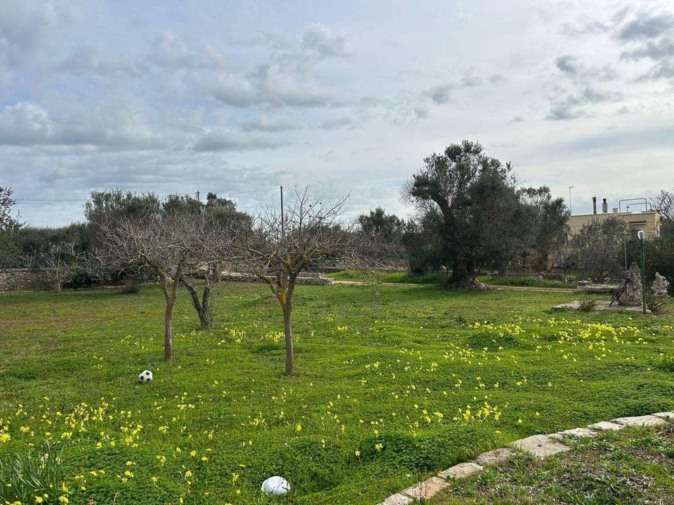 Farm hus i Carovigno, Brindisi - foto 4