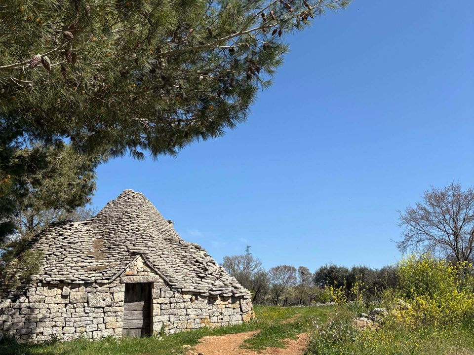 Villa i Alberobello, Bari - bilde 4