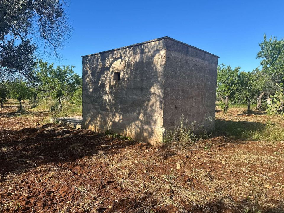 Farm hus i San Vito dei Normanni, Brindisi - foto 1