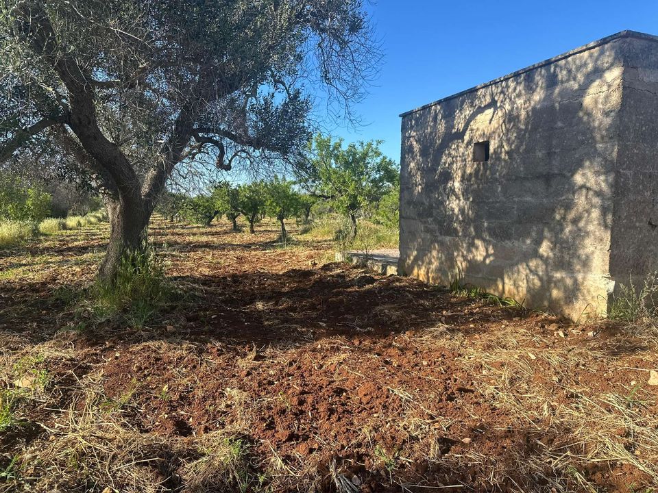 Farm hus i San Vito dei Normanni, Brindisi - foto 2