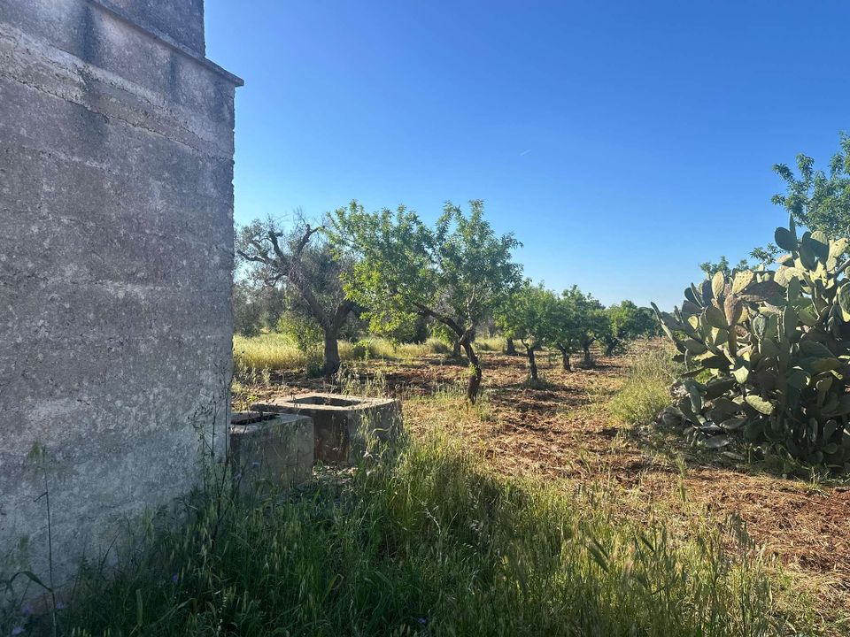 Farm hus i San Vito dei Normanni, Brindisi - foto 4