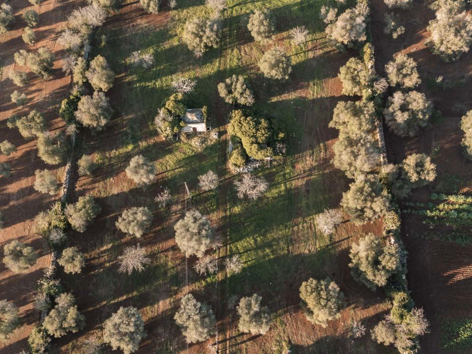 Farm hus i Ceglie Messapica, Brindisi - foto 4
