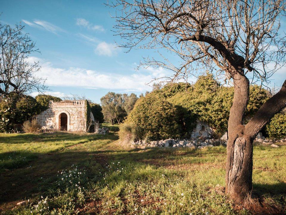 Farm hus i Ceglie Messapica, Brindisi - foto 5