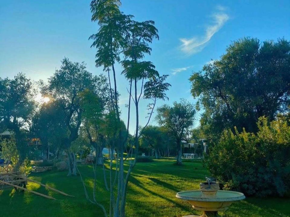 Farm i Sannicandro di Bari, Bari - foto 4