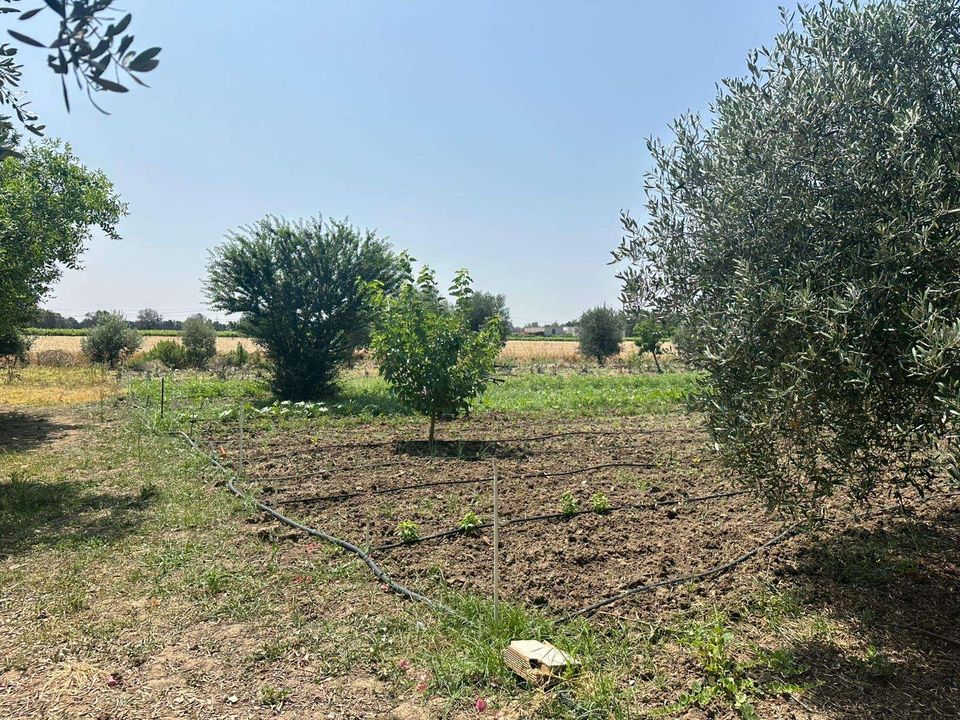 Farm hus i Brindisi, Brindisi - foto 3