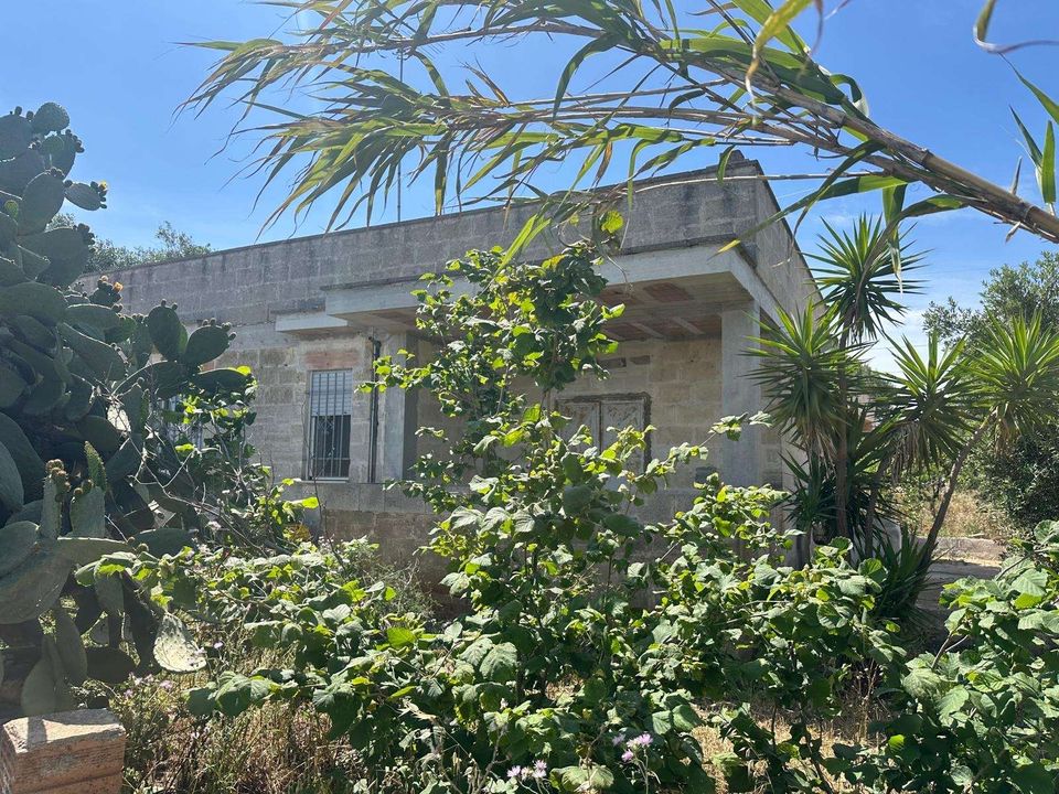 Farm hus i Carovigno, Brindisi - foto 1