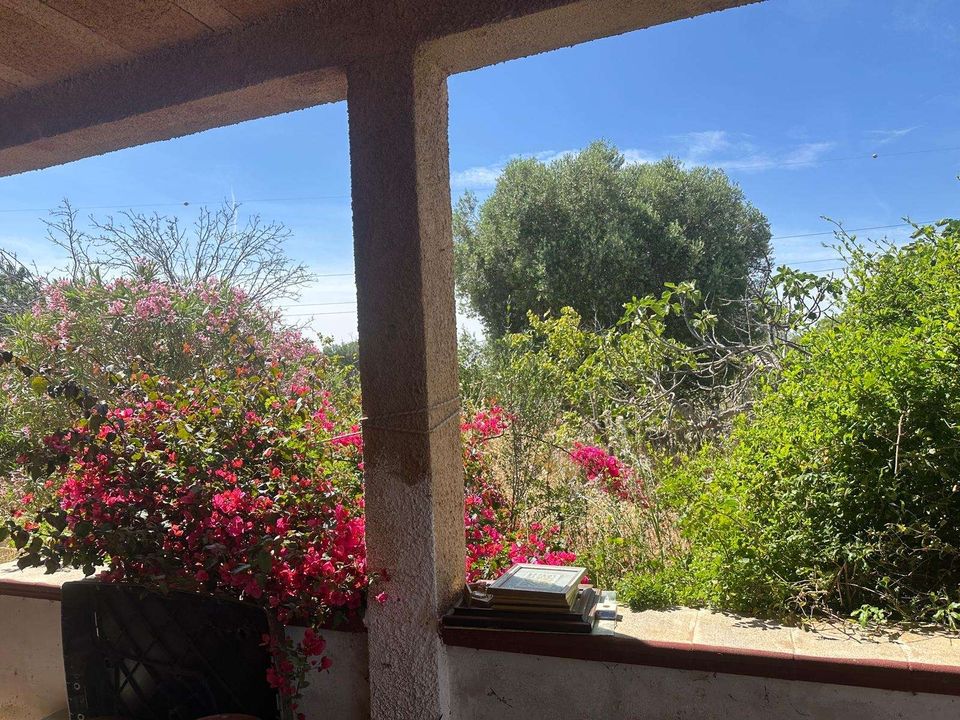 Farm hus i Carovigno, Brindisi - foto 4