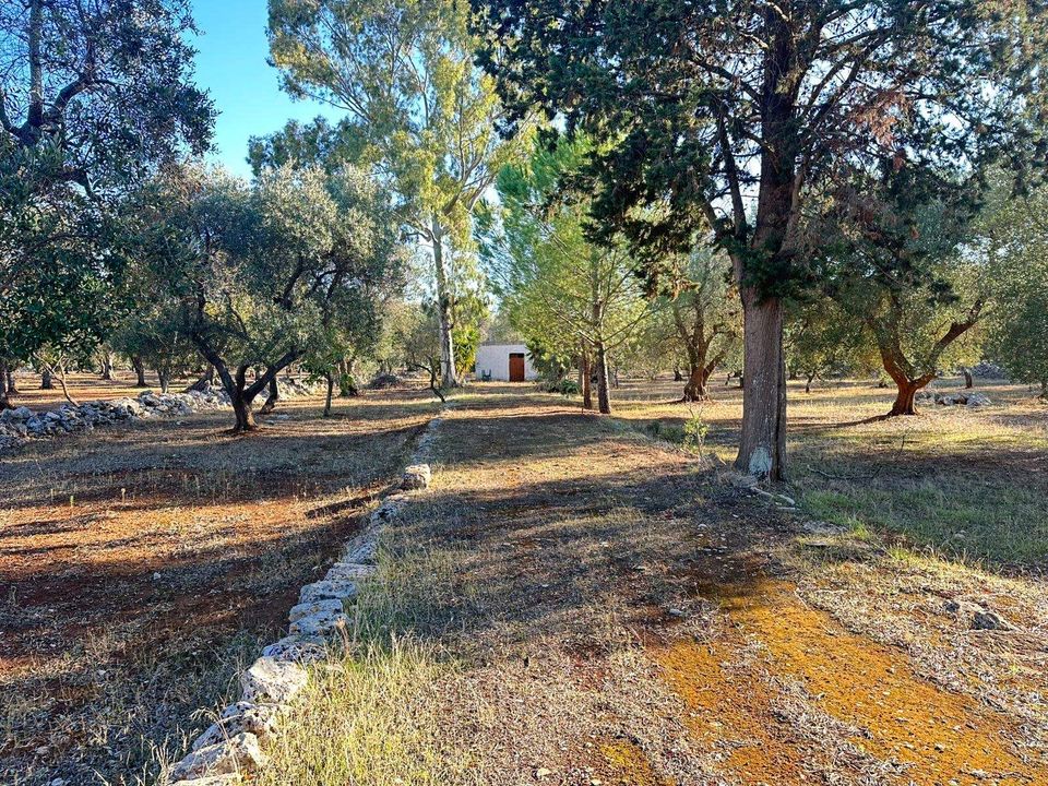 Farm hus i San Michele Salentino, Brindisi - foto 1
