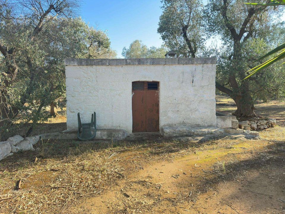 Farm hus i San Michele Salentino, Brindisi - foto 2