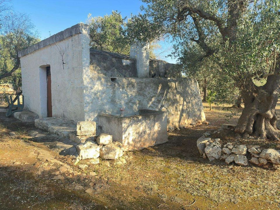Farm hus i San Michele Salentino, Brindisi - foto 3