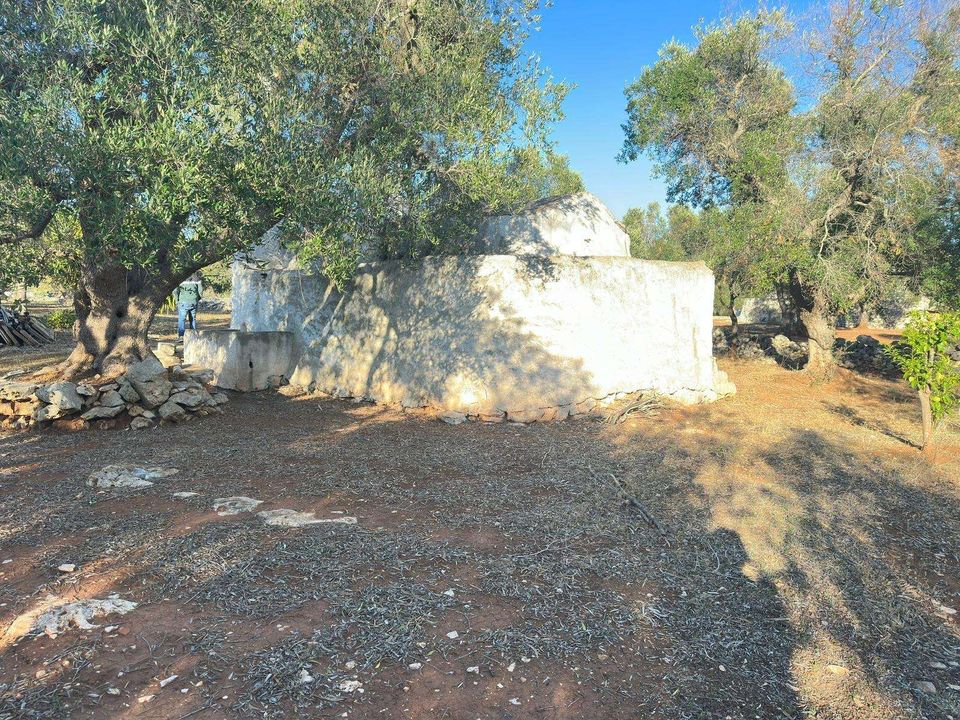 Farm hus i San Michele Salentino, Brindisi - foto 4
