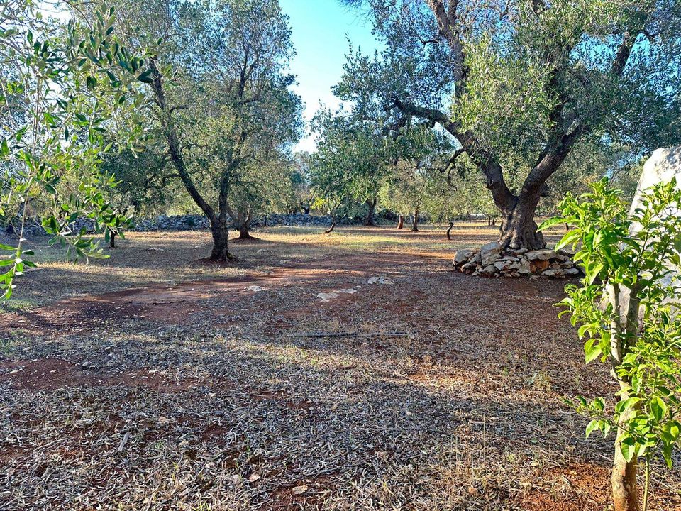 Farm hus i San Michele Salentino, Brindisi - foto 5