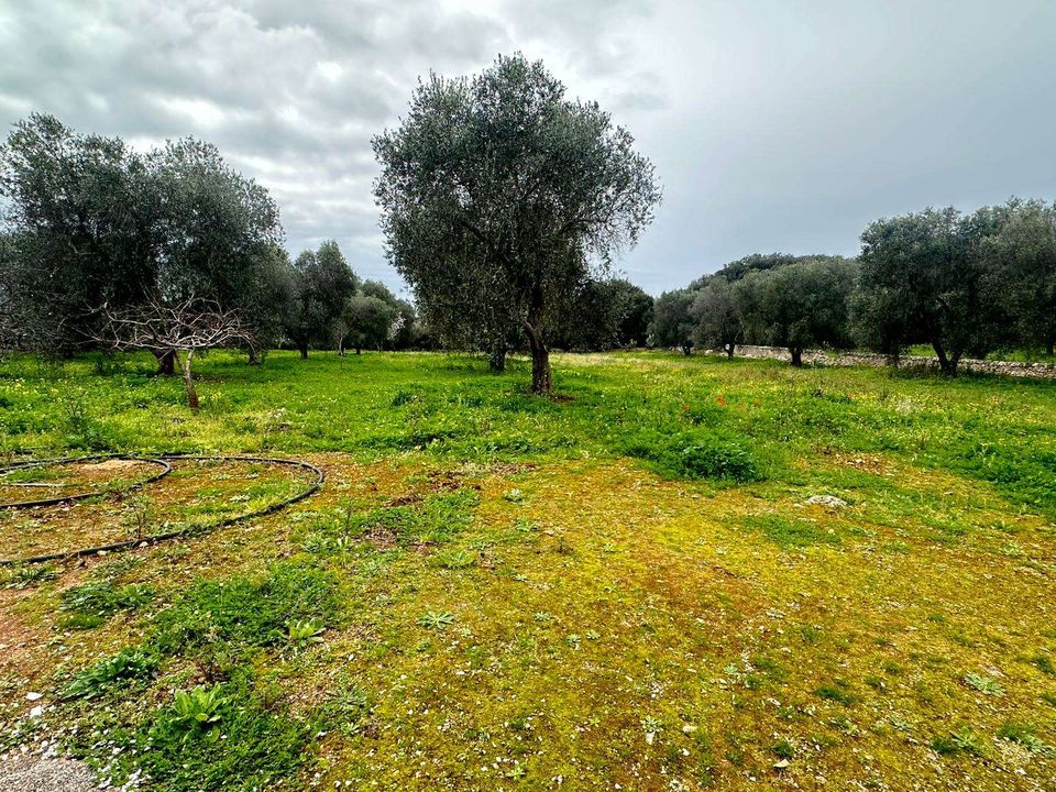 Villa i Carovigno, Brindisi - foto 5