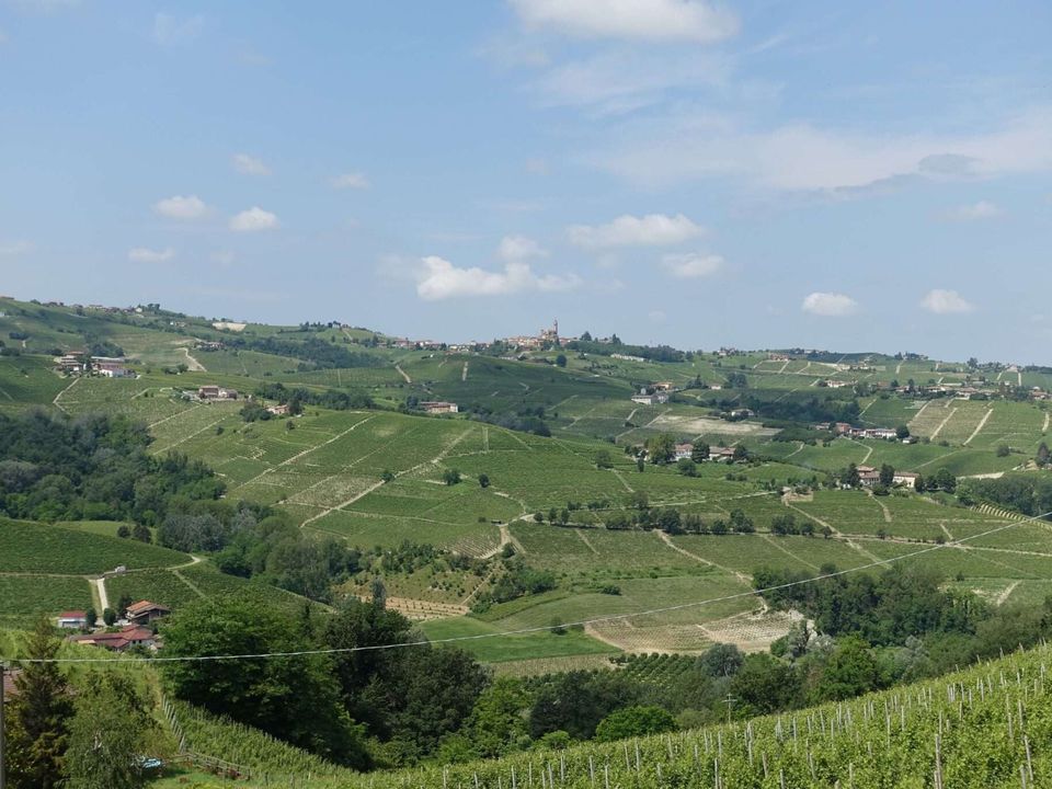 Farm hus i Calosso, Asti - foto 4