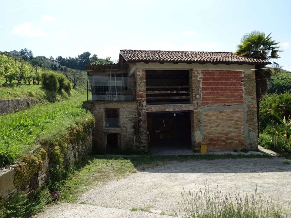 Farm hus i Calosso, Asti - foto 5