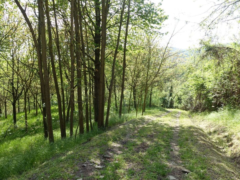 Farm hus i Bubbio, Asti - foto 4