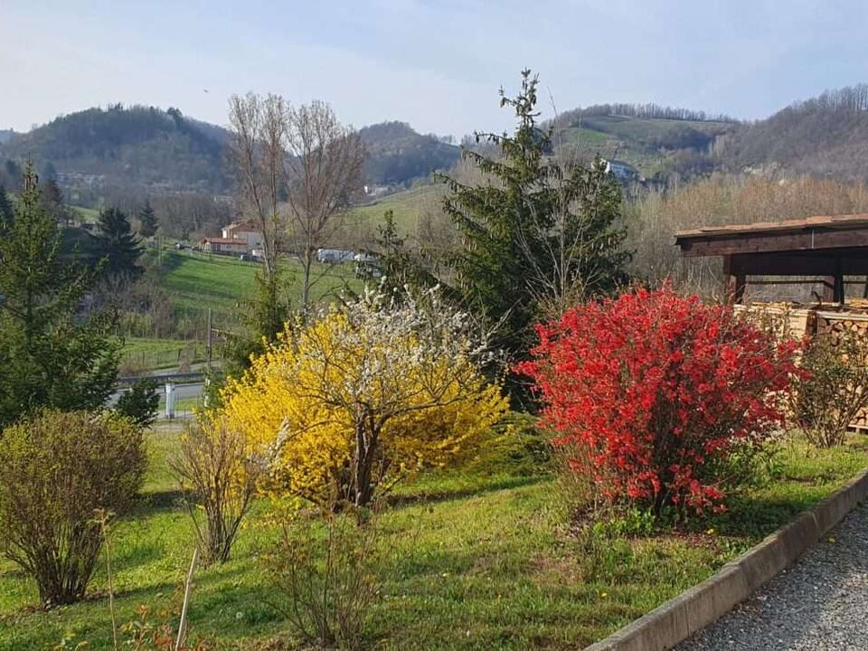 Villa i Acqui Terme, Alessandria - bilde 5