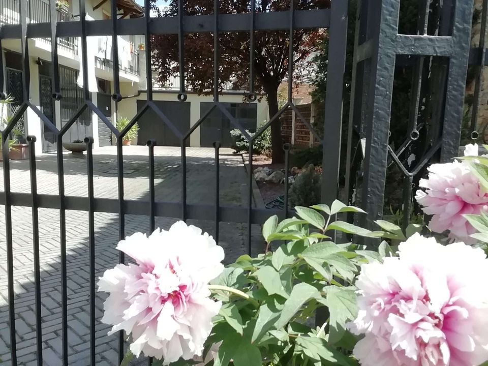 Villa en Neive, Cuneo - foto 1