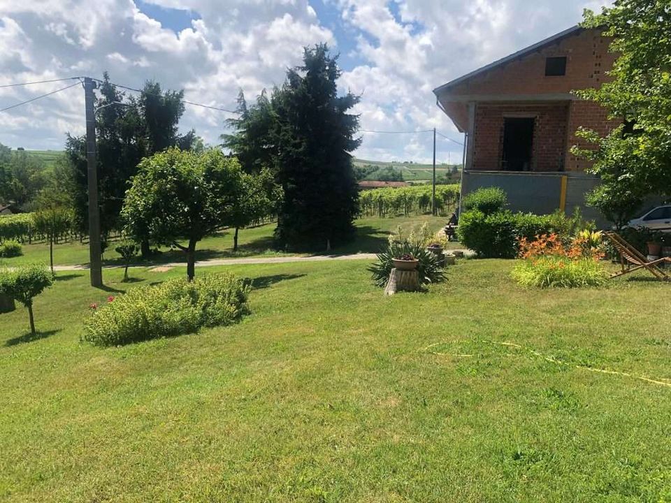 Farm hus i Agliano Terme, Asti - foto 3