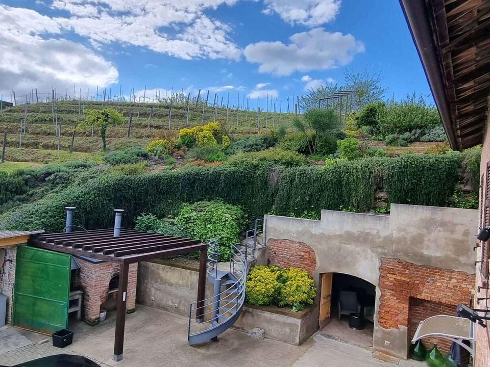 Farm hus i Vinchio, Asti - foto 4