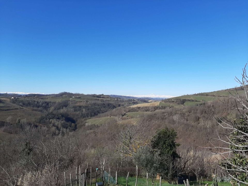 Farm hus i Montabone, Asti - foto 3