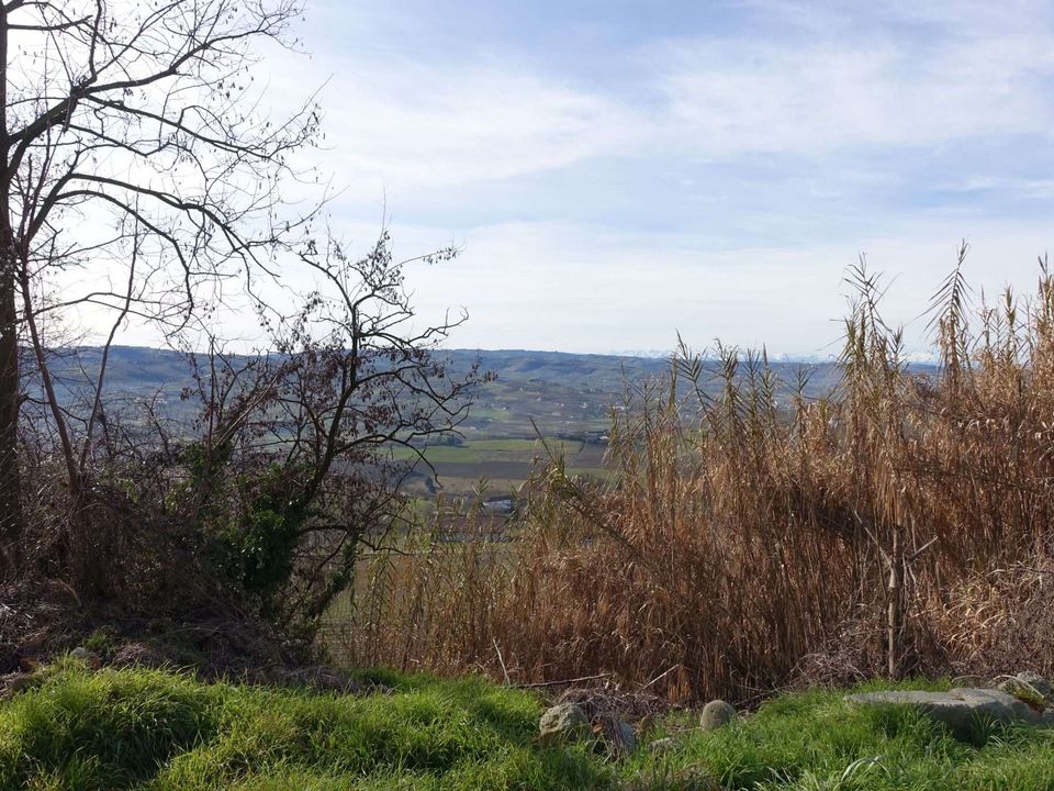Villa i Costigliole d'Asti, Asti - foto 3
