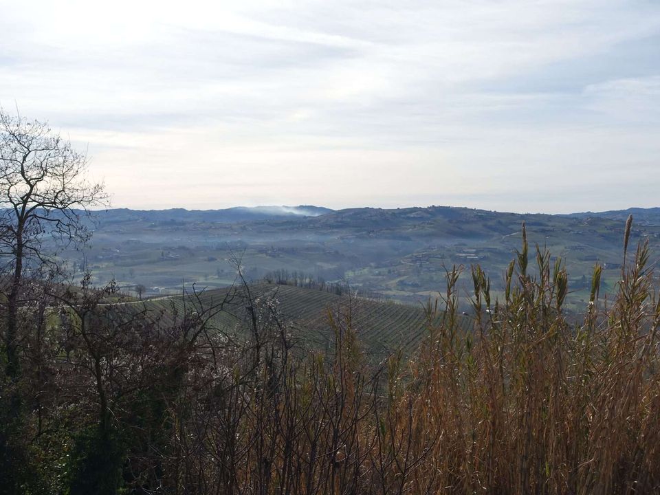 Villa i Costigliole d'Asti, Asti - foto 4