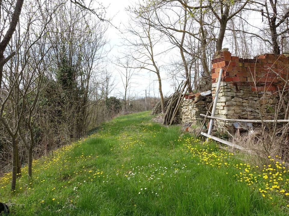 Farm hus i Cassinasco, Asti - foto 5