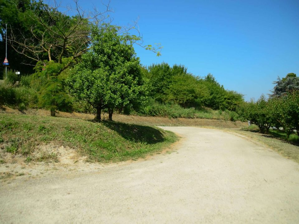 Farm hus i Magliano, Cuneo - foto 4