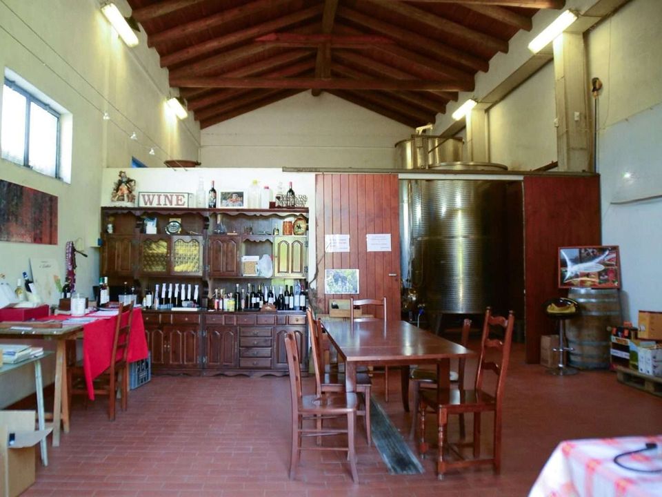 Farm hus i Magliano, Cuneo - foto 5