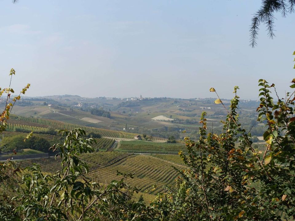 Farm hus i Maranzana, Asti - foto 3
