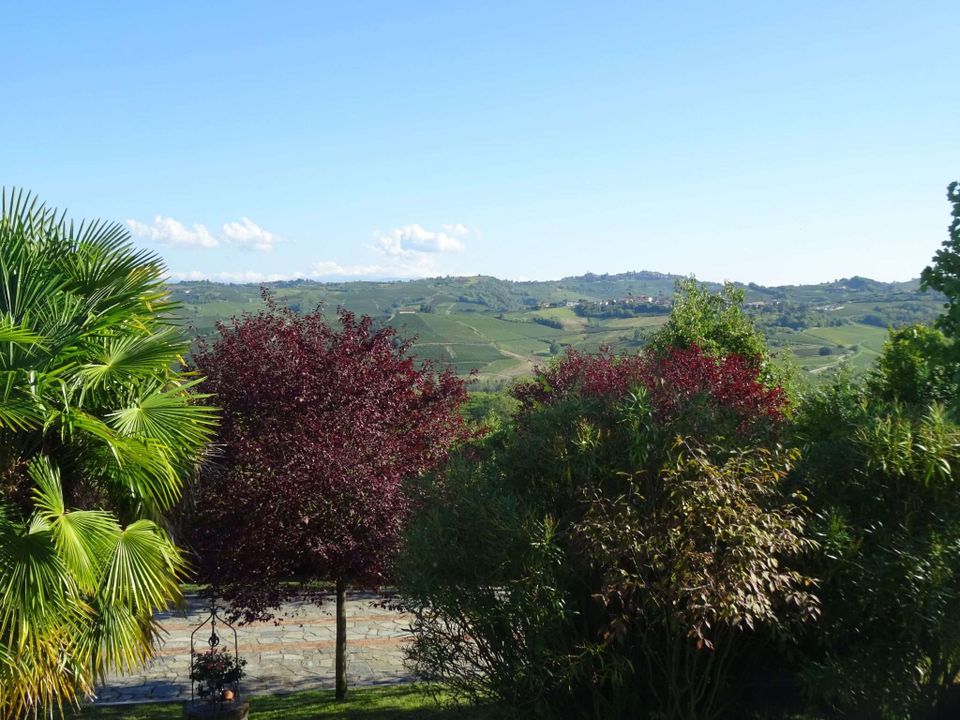 Villa i Mombaruzzo, Asti - foto 5