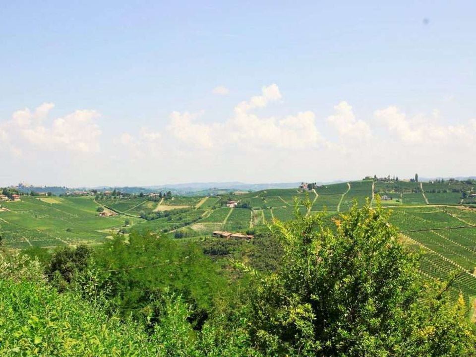 Farm hus i Calosso, Asti - foto 2