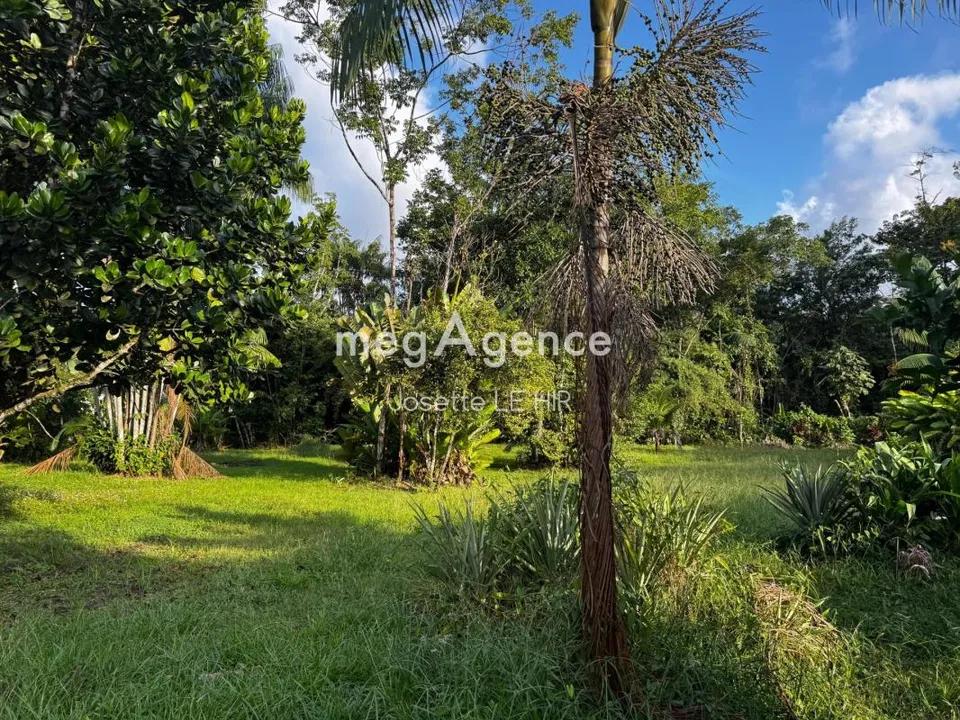 Terra a Matoury, French Guiana - foto 2