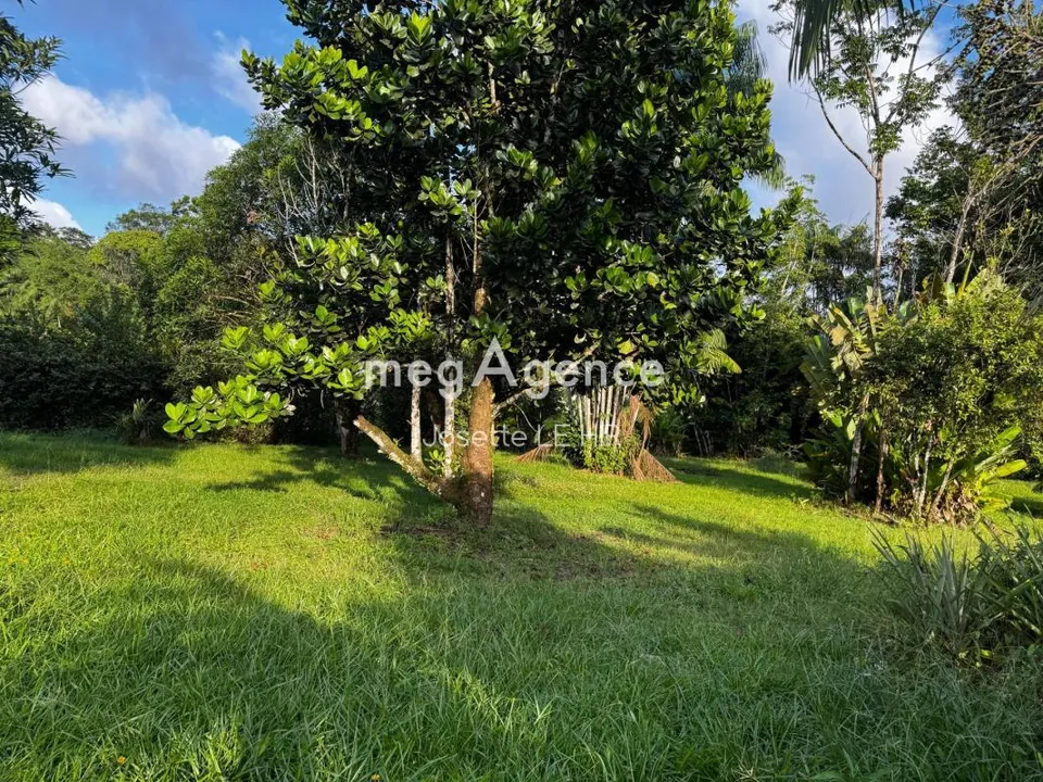 Terra a Matoury, French Guiana - foto 3