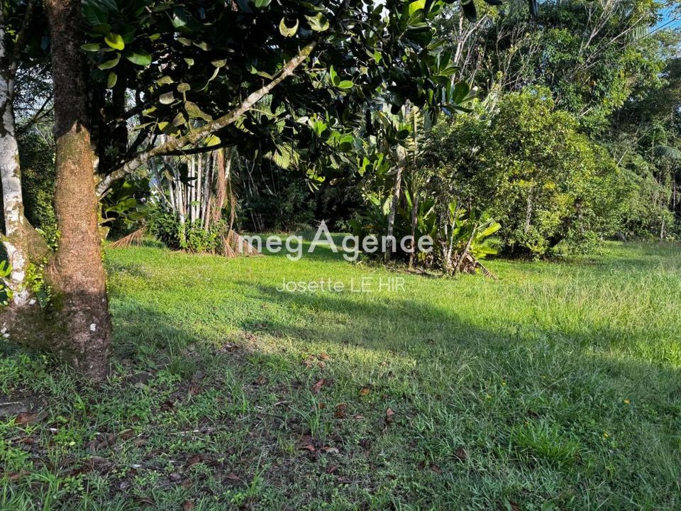 Terra a Matoury, French Guiana - foto 4