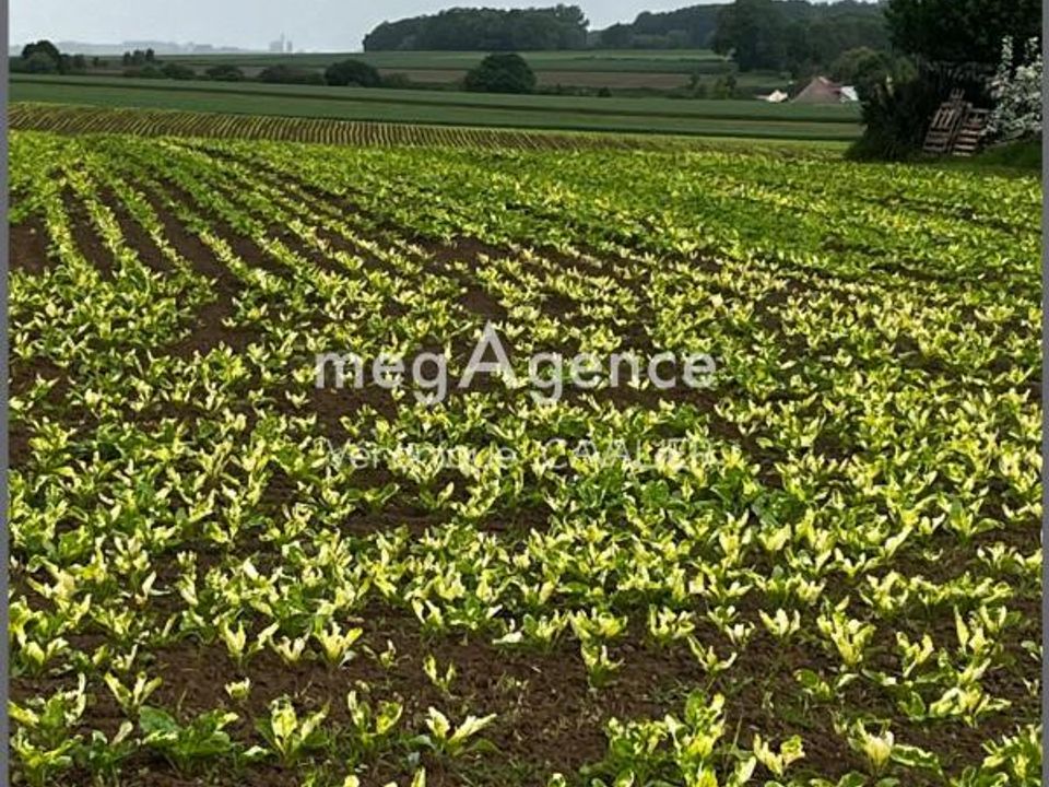 Helårsgrund i Montrécourt, Nord - foto 1