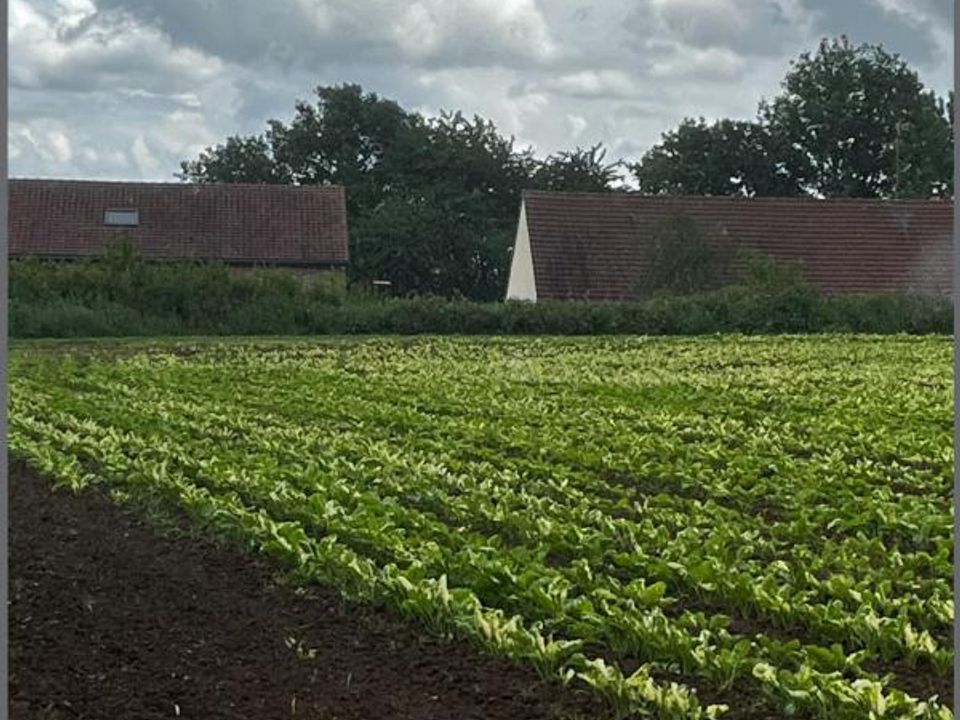 Helårsgrund i Montrécourt, Nord - foto 2