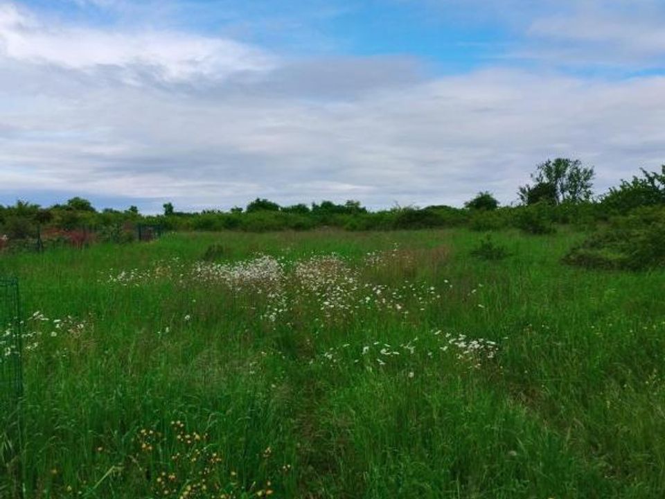 Helårsgrund i Niort, Deux-Sevres - foto 1