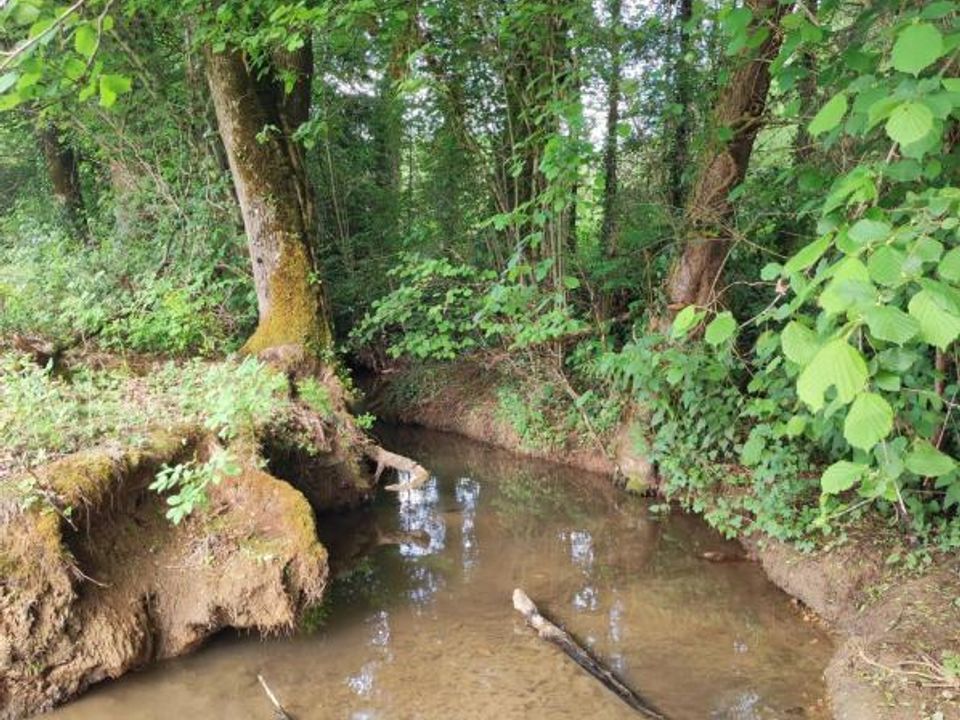 Farm hus i Naves, Correze - foto 3