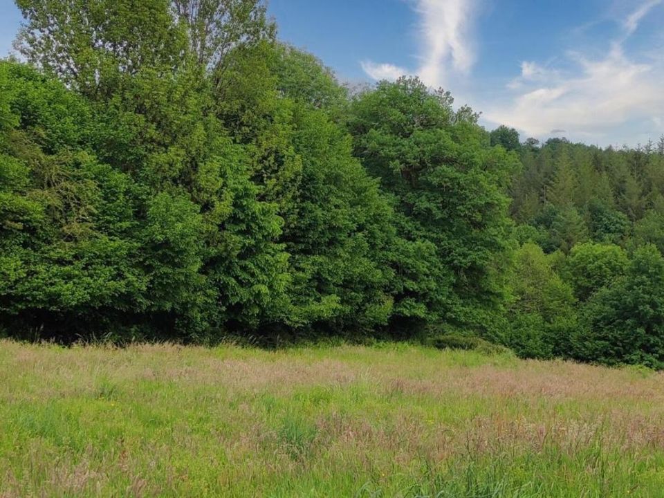 Farm hus i Naves, Correze - foto 4