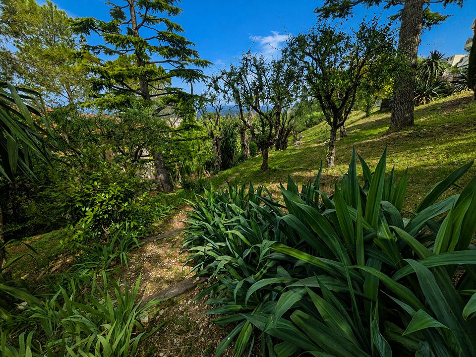 Villa i Nice, Alpes-Maritimes - foto 4