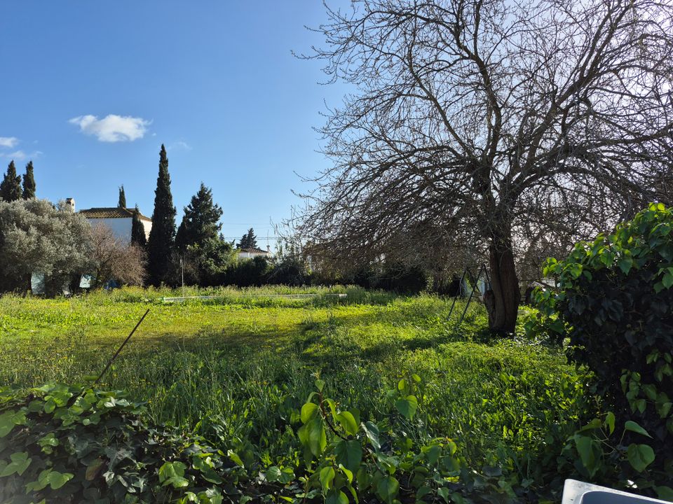 Villa i Conil De La Frontera, Cadiz - foto 4