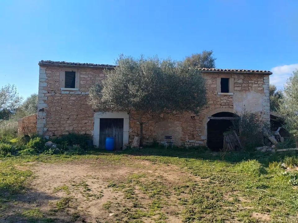 Finca i Binissalem, Mallorca - foto 1