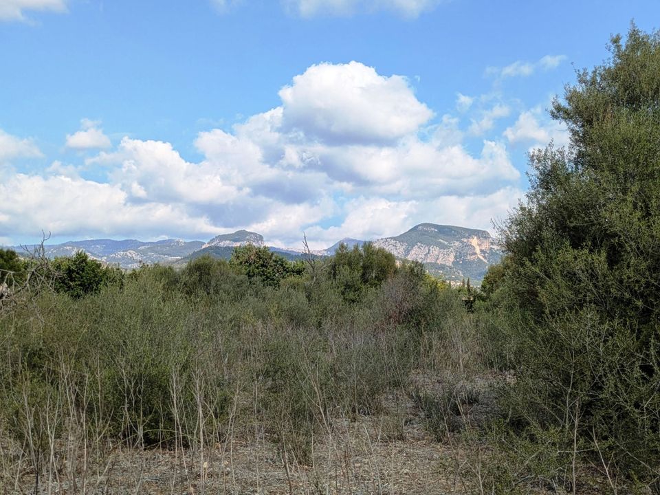 Finca i Binissalem, Mallorca - foto 5